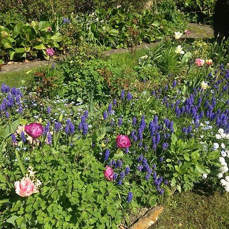 Yew Tree Cottage B&B Stow-on-the-Wold Luaran gambar