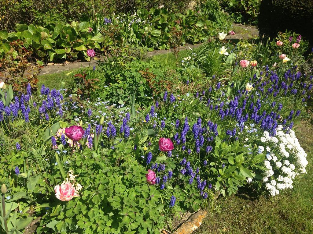 Yew Tree Cottage B&B Stow-on-the-Wold Luaran gambar
